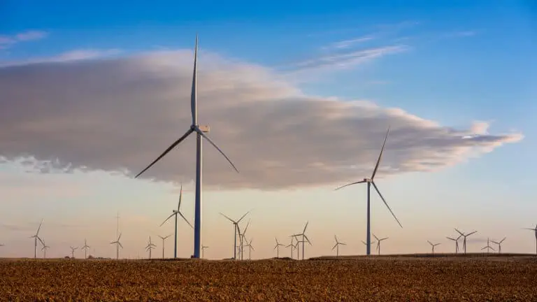 landscape with Wind farm 